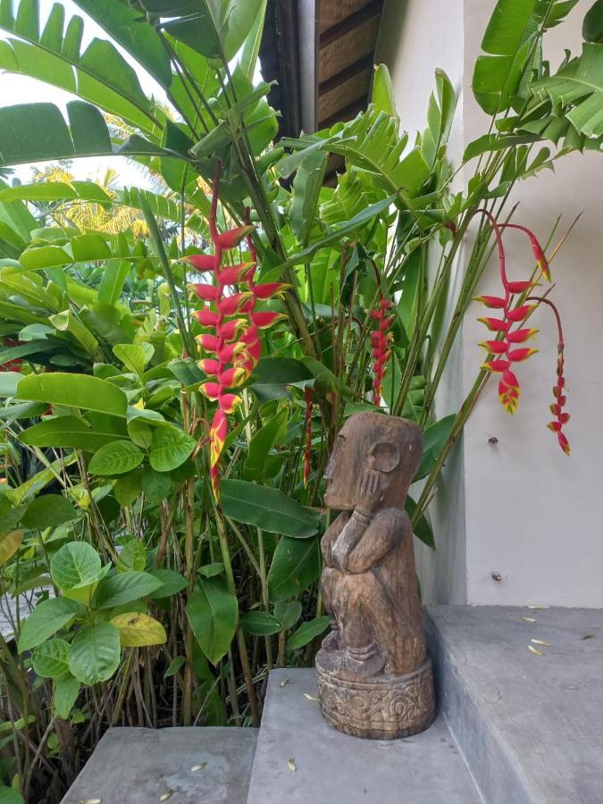 Waiara Village Guesthouse Maumere Eksteriør billede